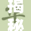 揭秘蒂法背后：她的神秘世界与角色魅力