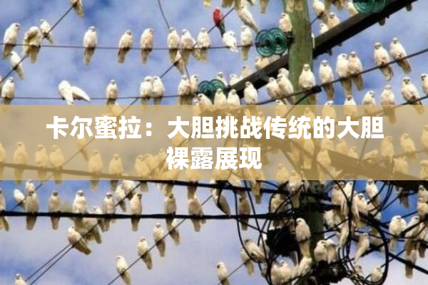 卡尔蜜拉：大胆挑战传统的大胆裸露展现