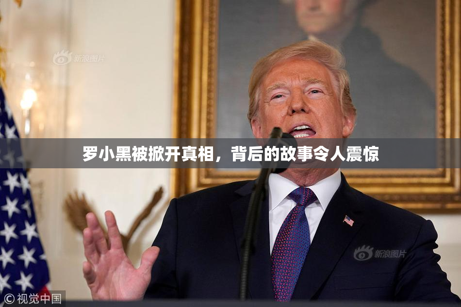 罗小黑被掀开真相，背后的故事令人震惊