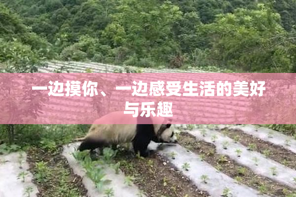 一边摸你、一边感受生活的美好与乐趣