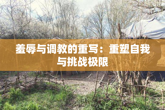 羞辱与调教的重写：重塑自我与挑战极限
