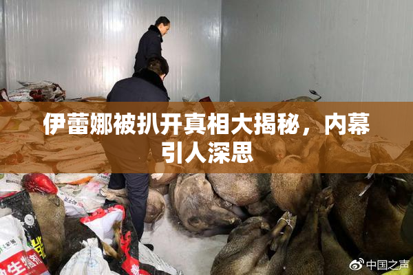 伊蕾娜被扒开真相大揭秘，内幕引人深思