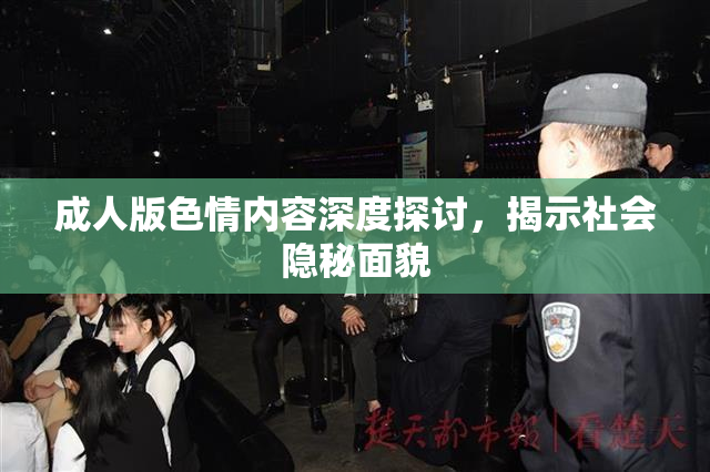 成人版色情内容深度探讨，揭示社会隐秘面貌