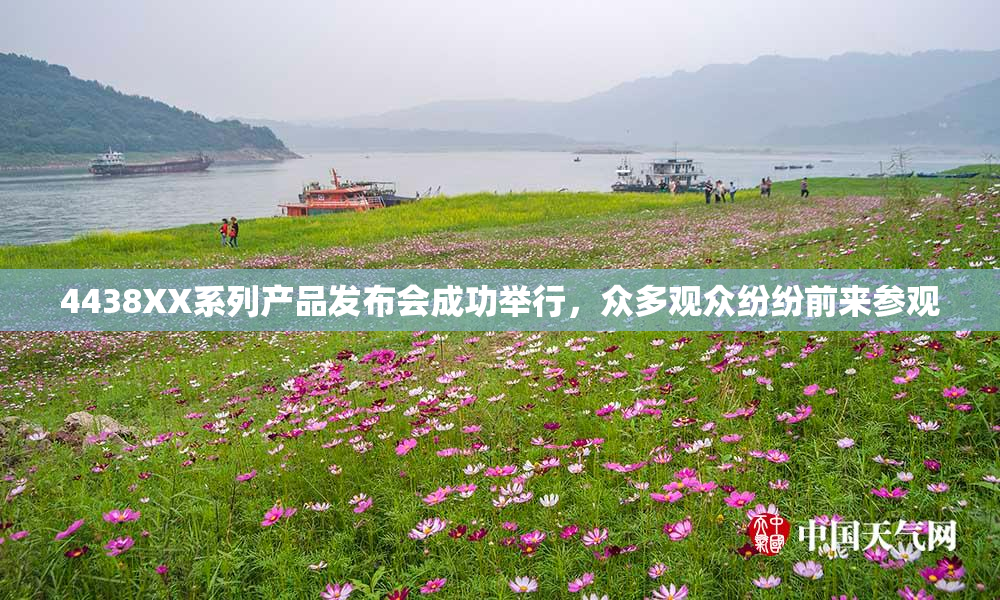 4438XX系列产品发布会成功举行，众多观众纷纷前来参观