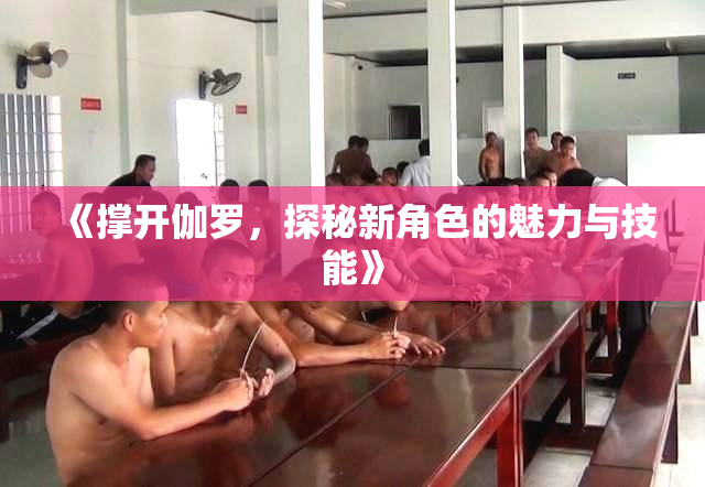 《撑开伽罗，探秘新角色的魅力与技能》