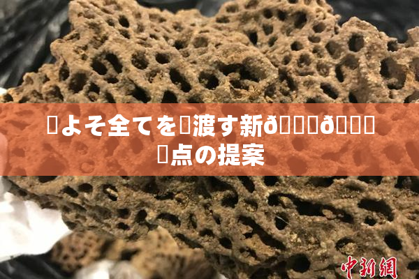 ✿よそ全てを見渡す新👅🍑視点の提案