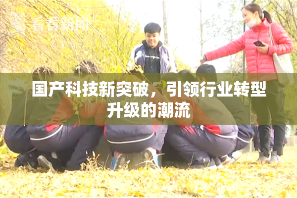 国产科技新突破，引领行业转型升级的潮流