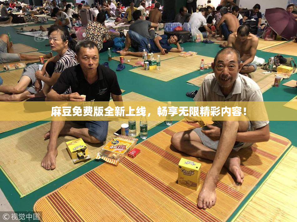 麻豆免费版全新上线，畅享无限精彩内容！