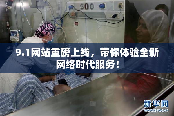 9.1网站重磅上线，带你体验全新网络时代服务！
