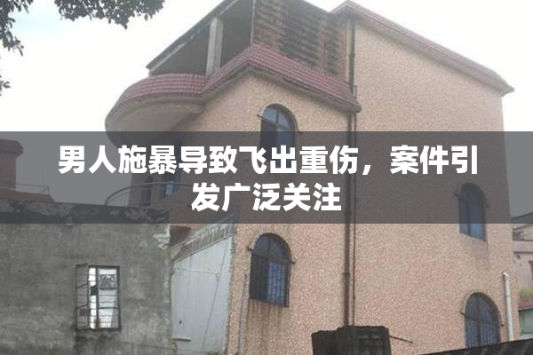 男人施暴导致飞出重伤，案件引发广泛关注