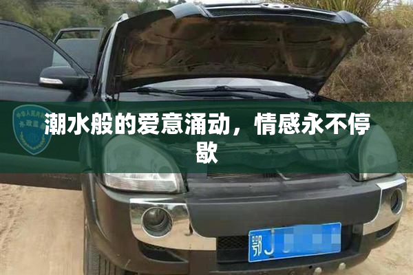 潮水般的爱意涌动，情感永不停歇