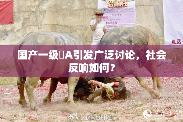 国产一级婬A引发广泛讨论，社会反响如何？
