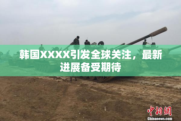 韩国XXXX引发全球关注，最新进展备受期待
