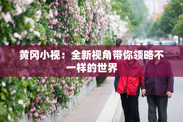 黄冈小视：全新视角带你领略不一样的世界