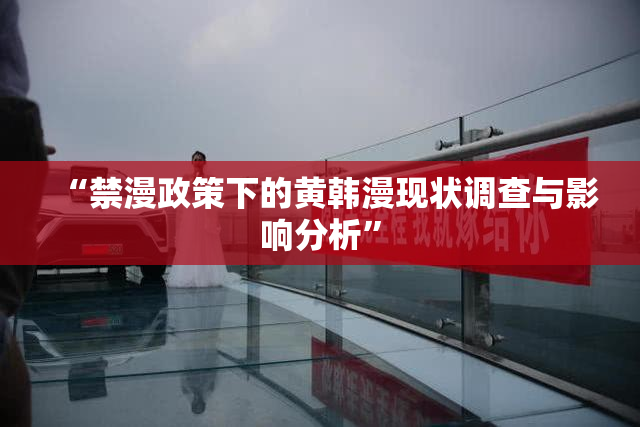 “禁漫政策下的黄韩漫现状调查与影响分析”