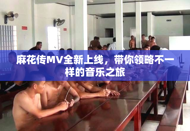 麻花传MV全新上线，带你领略不一样的音乐之旅