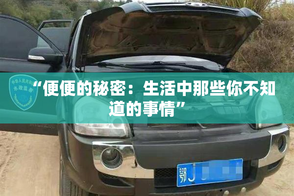 “便便的秘密：生活中那些你不知道的事情”
