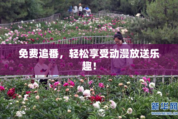 免费追番，轻松享受动漫放送乐趣！