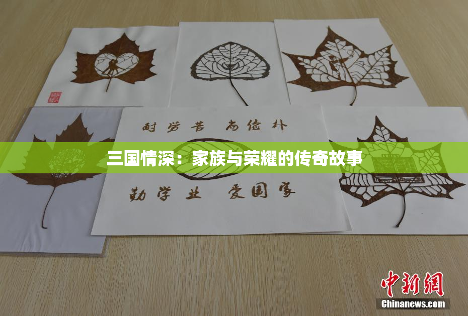 三国情深：家族与荣耀的传奇故事