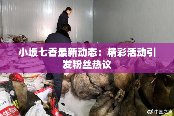 小坂七香最新动态：精彩活动引发粉丝热议