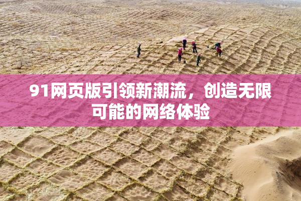 91网页版引领新潮流，创造无限可能的网络体验