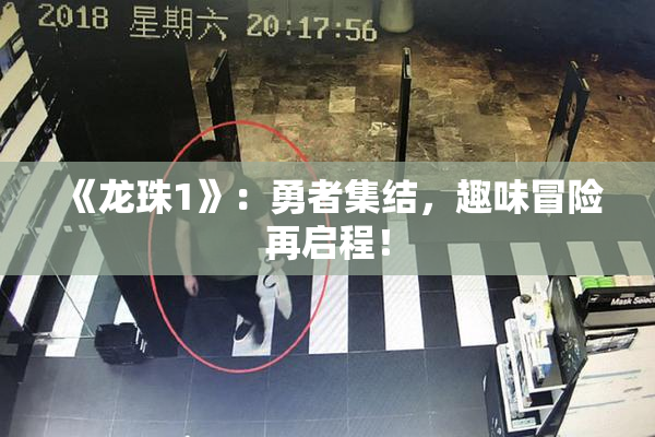 《龙珠1》：勇者集结，趣味冒险再启程！