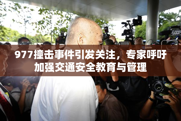 977撞击事件引发关注，专家呼吁加强交通安全教育与管理