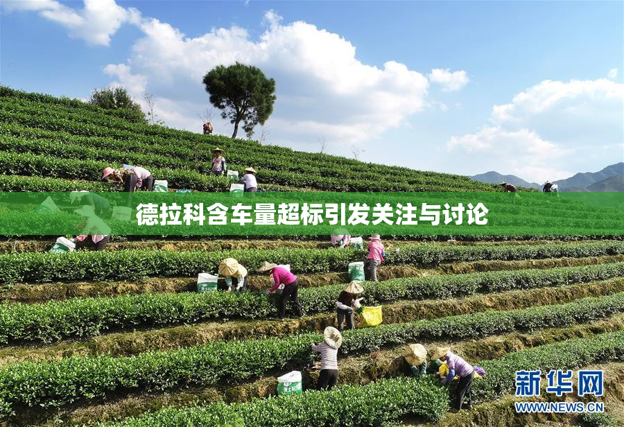德拉科含车量超标引发关注与讨论