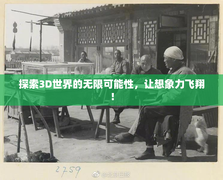 探索3D世界的无限可能性，让想象力飞翔！