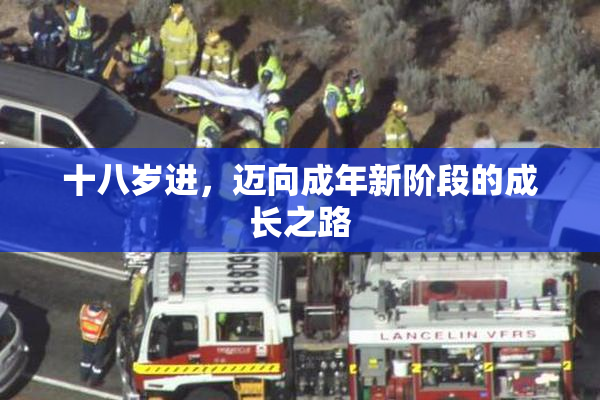 十八岁进，迈向成年新阶段的成长之路