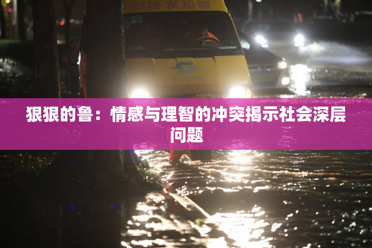 狠狠的鲁：情感与理智的冲突揭示社会深层问题