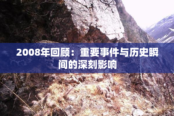 2008年回顾：重要事件与历史瞬间的深刻影响