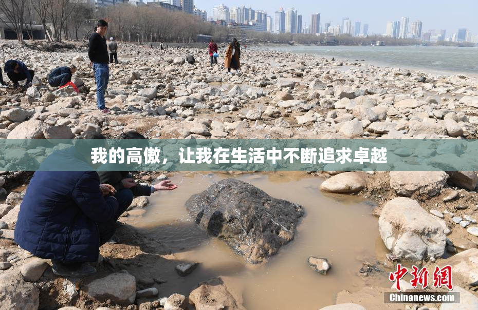 我的高傲，让我在生活中不断追求卓越
