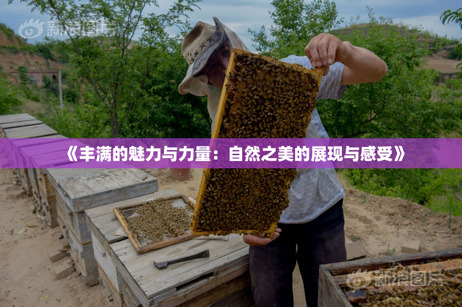 《丰满的魅力与力量：自然之美的展现与感受》