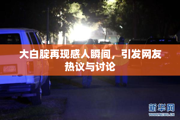 大白腚再现感人瞬间，引发网友热议与讨论