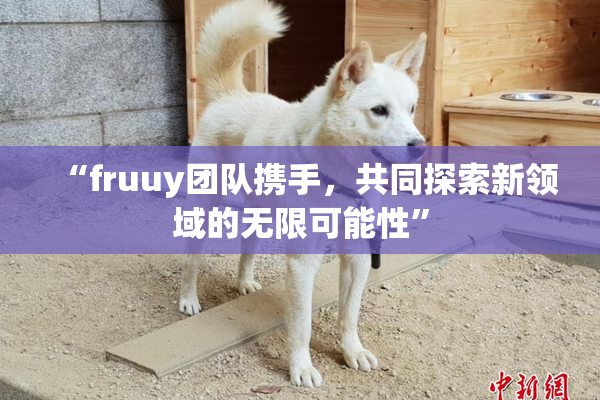 “fruuy团队携手，共同探索新领域的无限可能性”