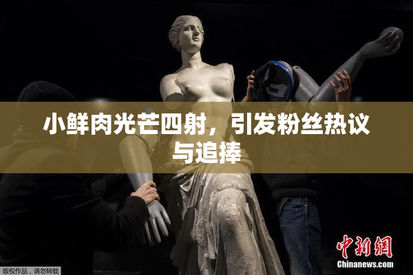 小鲜肉光芒四射，引发粉丝热议与追捧