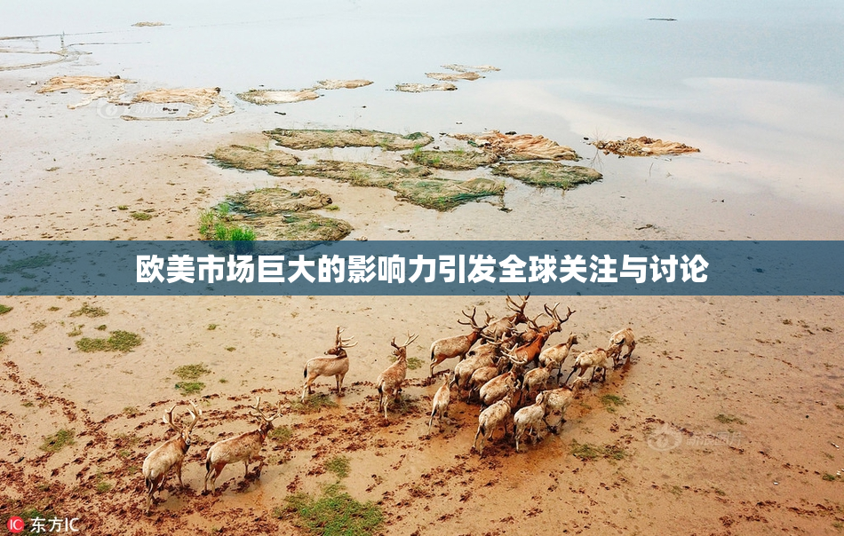 欧美市场巨大的影响力引发全球关注与讨论