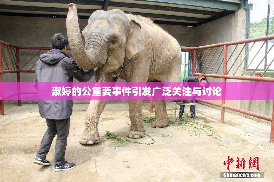 淑婷的公重要事件引发广泛关注与讨论