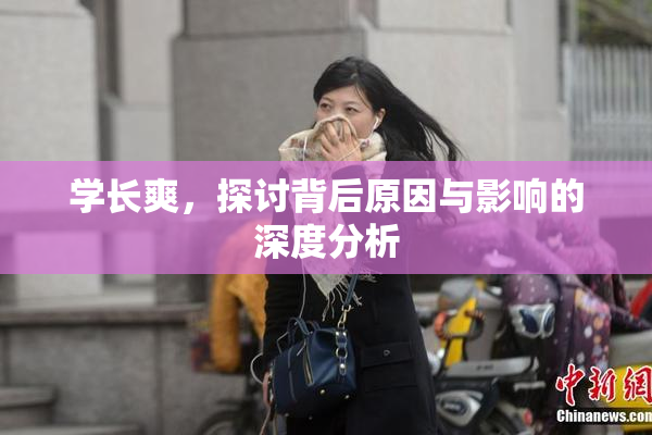 学长爽，探讨背后原因与影响的深度分析