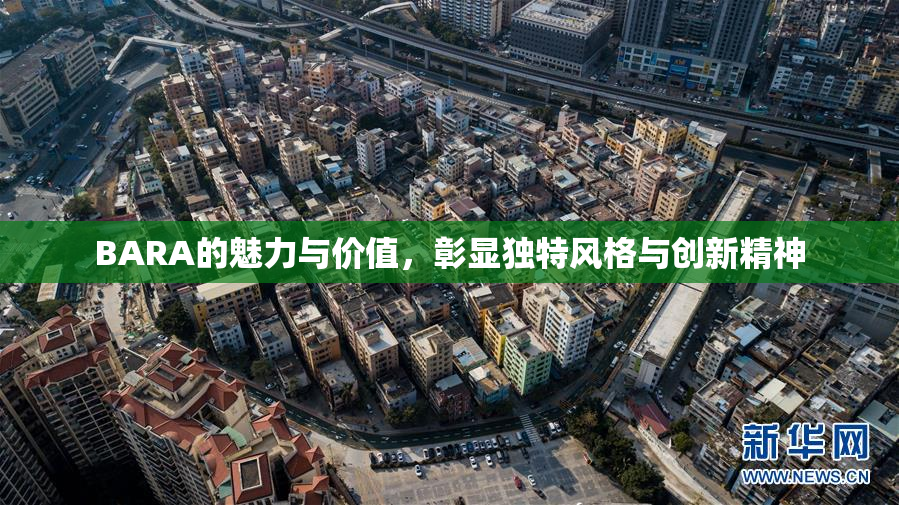 BARA的魅力与价值，彰显独特风格与创新精神