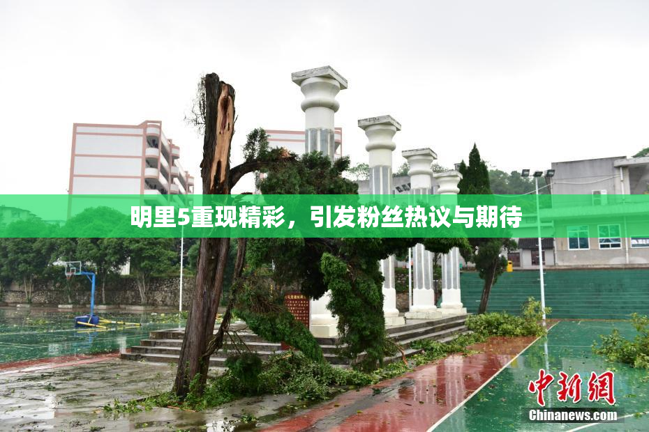 明里5重现精彩，引发粉丝热议与期待