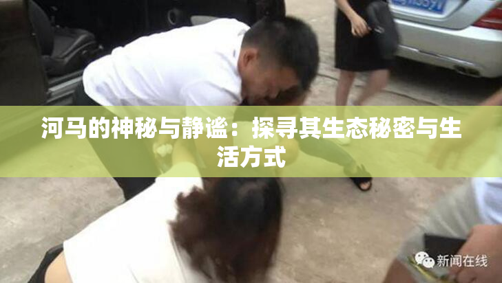 河马的神秘与静谧：探寻其生态秘密与生活方式