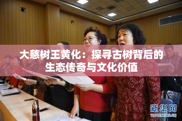 大慈树王黄化：探寻古树背后的生态传奇与文化价值