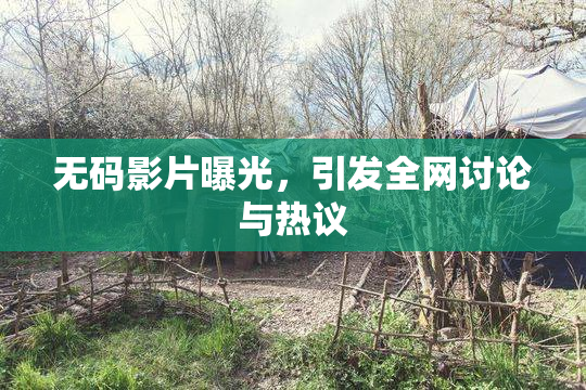 无码影片曝光，引发全网讨论与热议