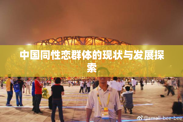 中国同性恋群体的现状与发展探索