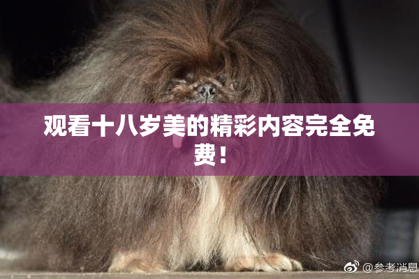 观看十八岁美的精彩内容完全免费！