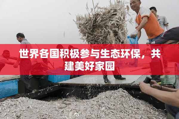 世界各国积极参与生态环保，共建美好家园