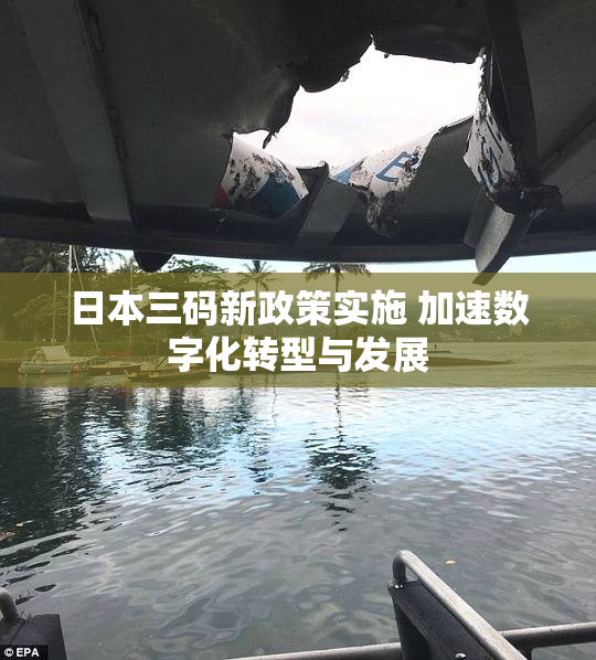 日本三码新政策实施 加速数字化转型与发展