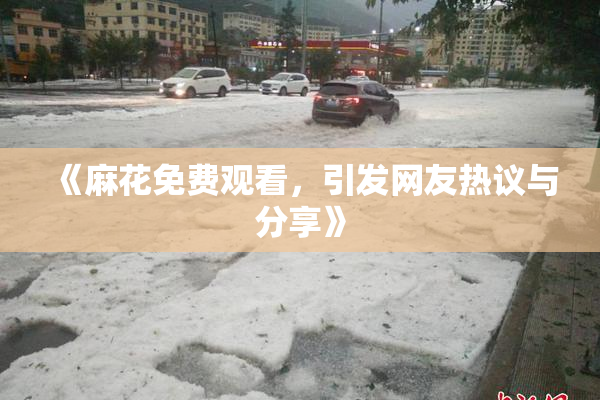 《麻花免费观看，引发网友热议与分享》
